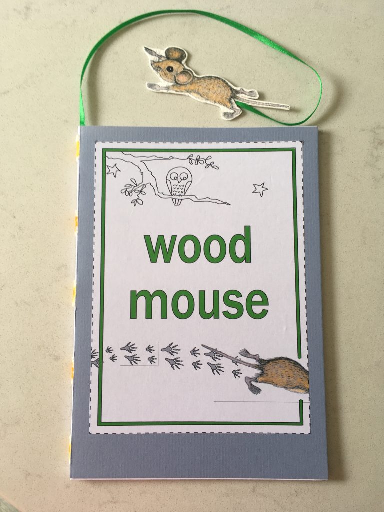 a picture of the front cover of the build a mouse book