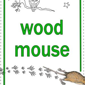 Build A Mouse Book