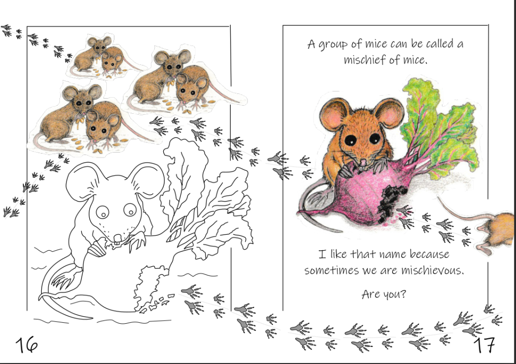 example page