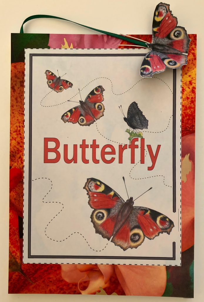 butterfly book cover