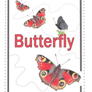 The front cover of a hand drawn book.